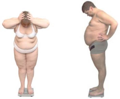 Product picture 101 Tips That Burn Belly Fat Daily